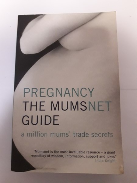 Pregnancy the Mumsnet Guide