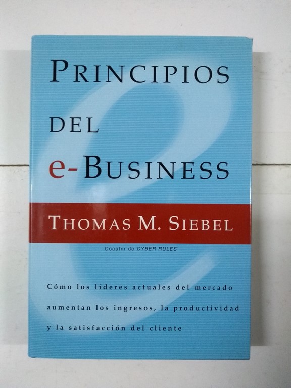 Principios del e-Business