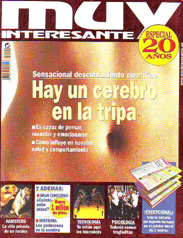 REVISTA MUY INTERESANTE. Nº:240. HAY UN CEREBRO EN LA TRIPA.