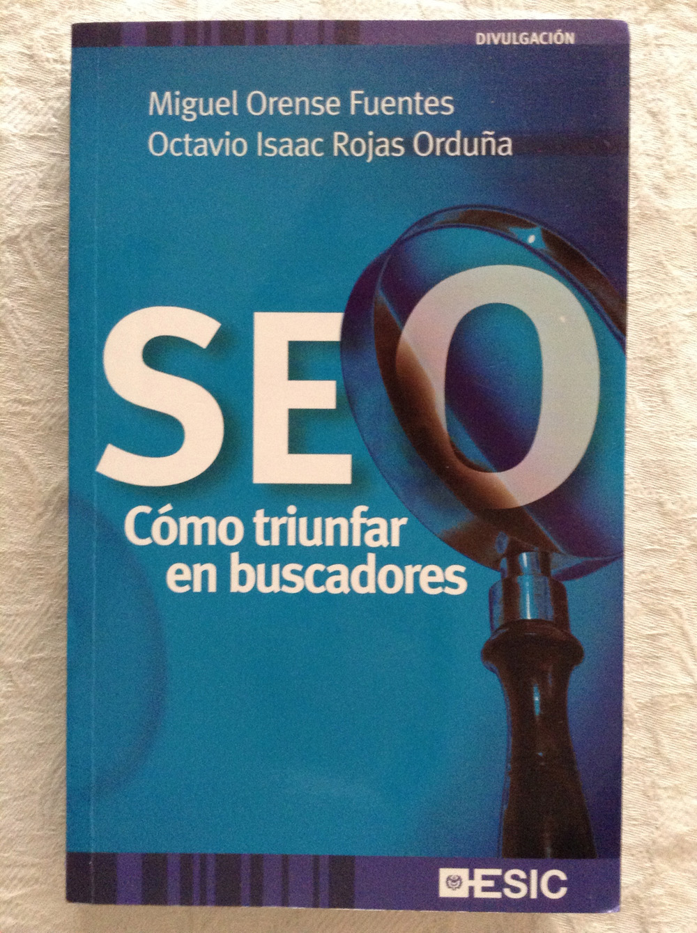 SEO. Como triunfar en buscadores