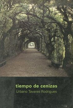 TIEMPO DE CENIZAS.