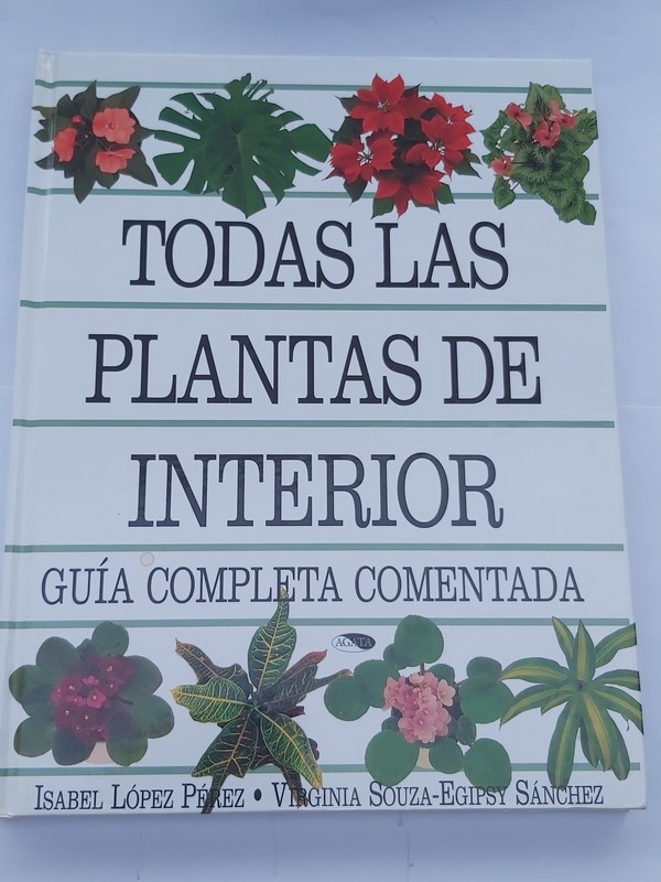 Todas las plantas de interior