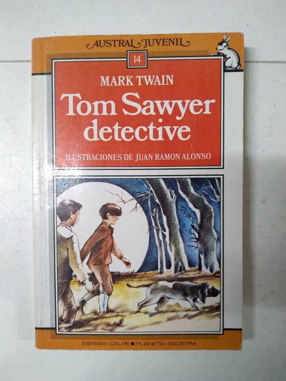 Tom Sawyer detective