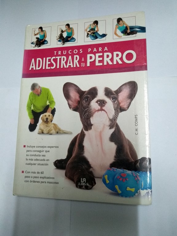 Trucos para adiestrar a tu perro