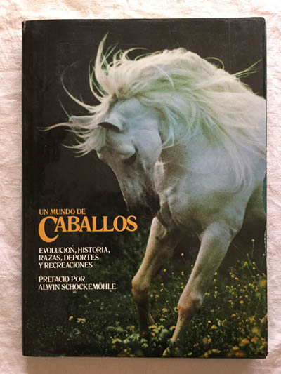 Un mundo de caballos