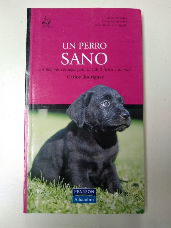 Un perro sano