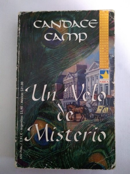Un velo de Misterio