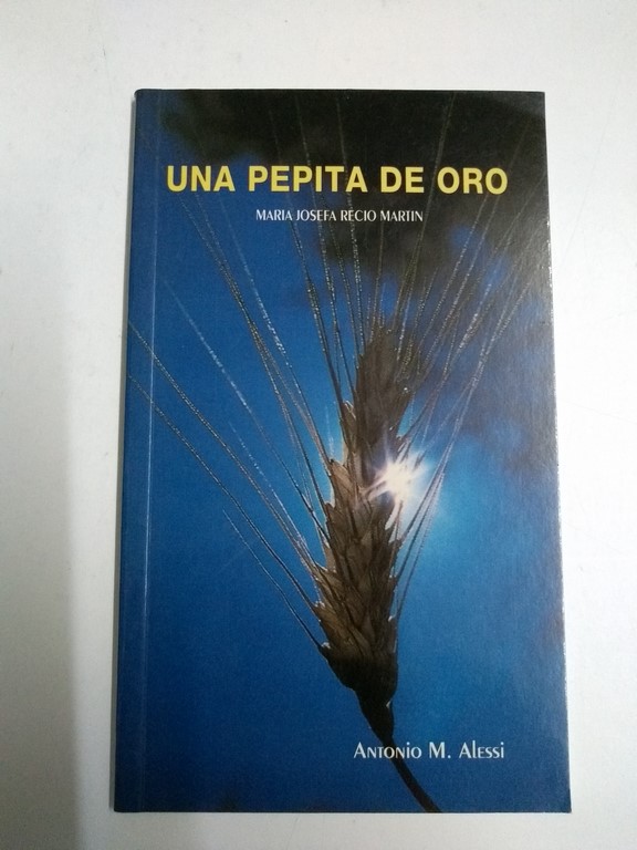 Una pepita de oro