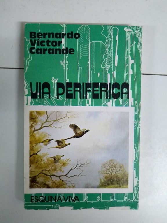 Vía periférica
